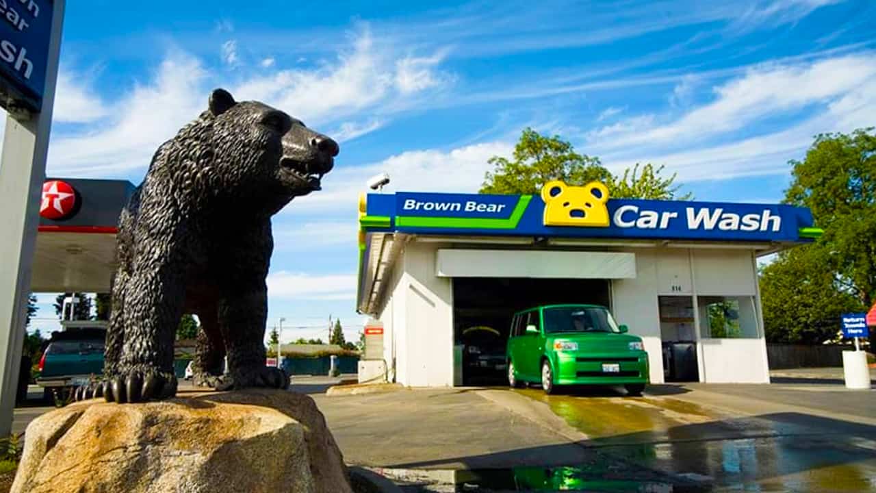 Brown-Bear-car-wash-Car1.jpg